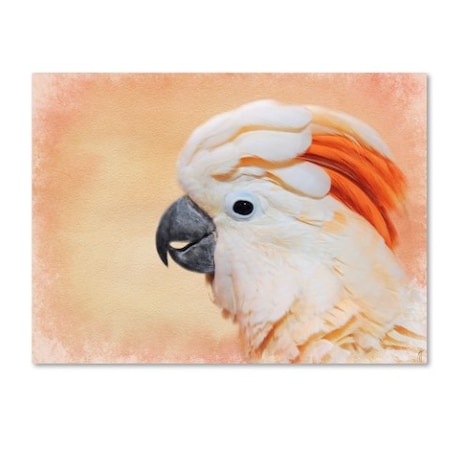 Jai Johnson 'Salmon Crested Cockatoo Portrait 1' Canvas Art,35x47